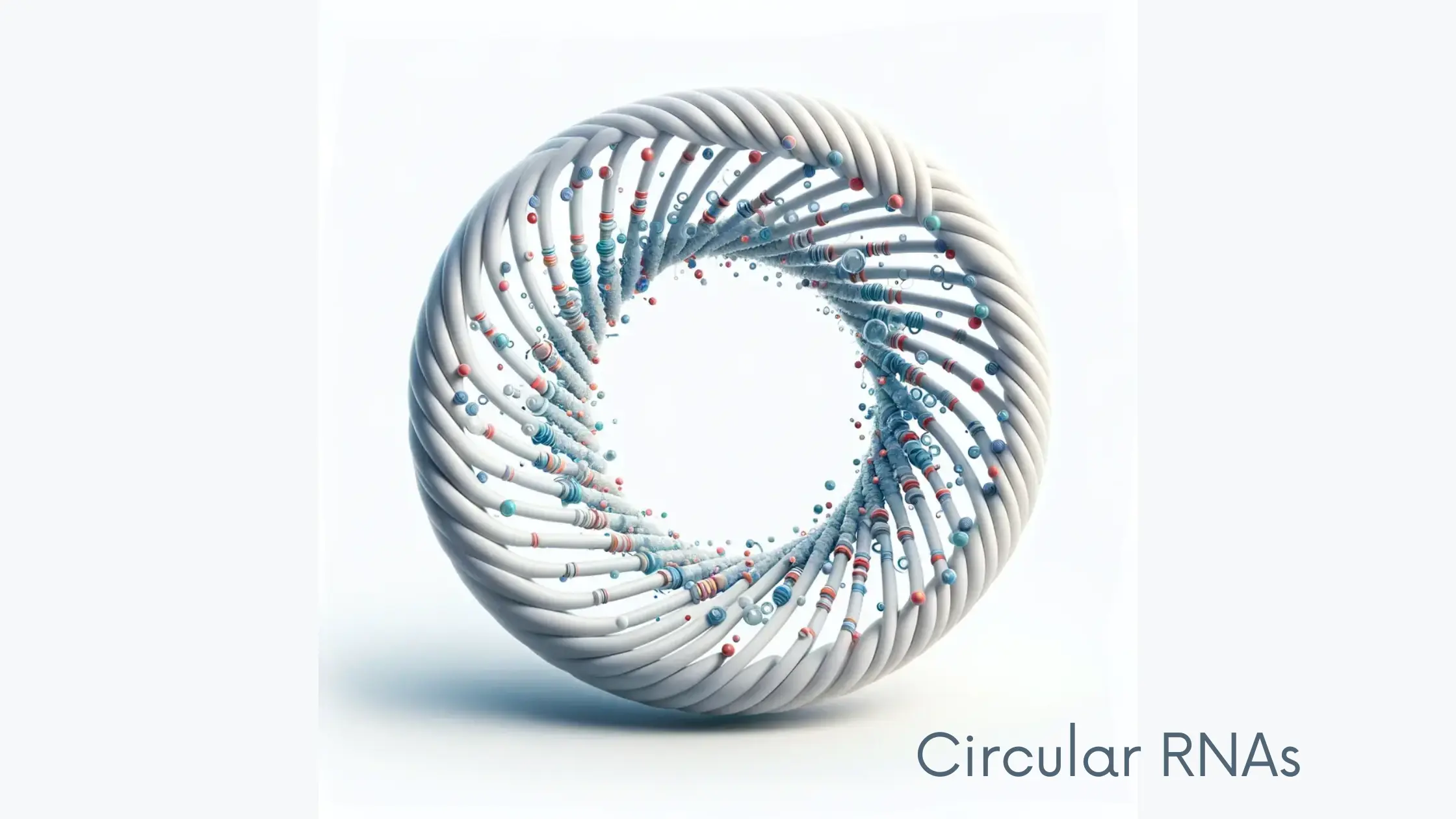 Circular RNA