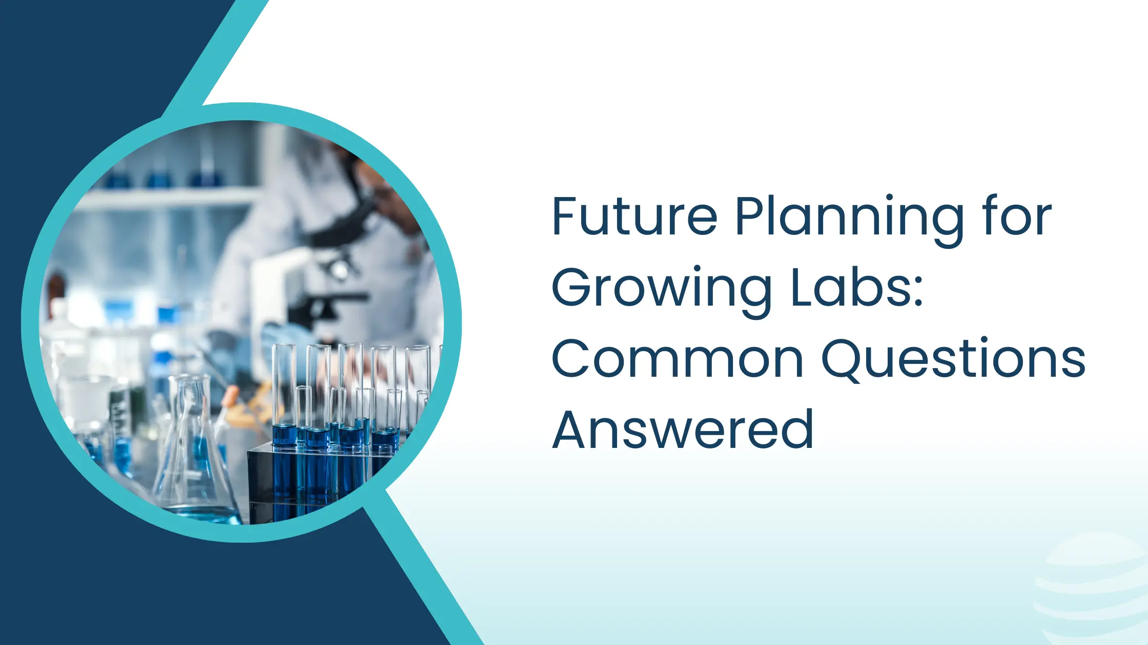 Future Planning for Growing Labs Common Questions Answered