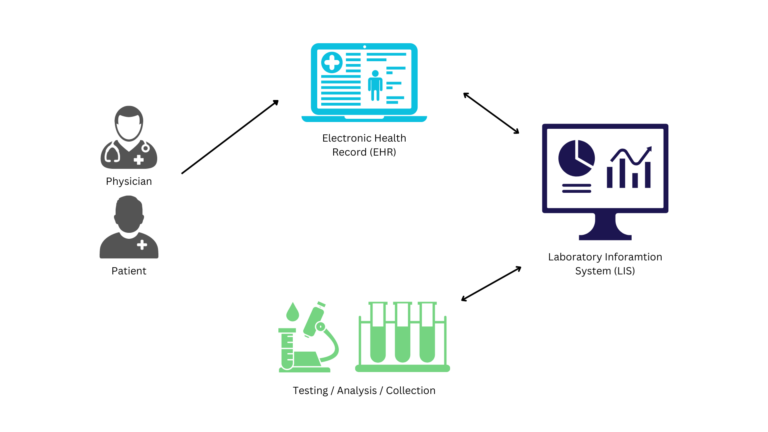 How Laboratory Information System (LIS) Work