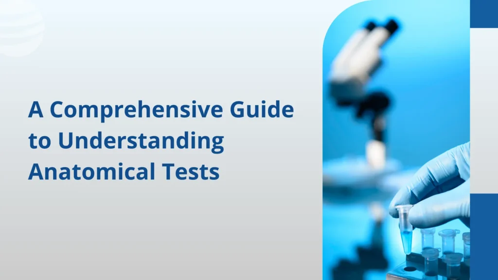 Understanding Anatomical Tests