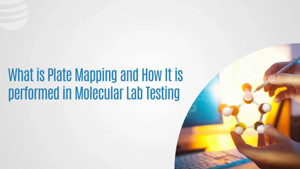 What is Plate Mapping and How It is performed in Molecular Lab Testing