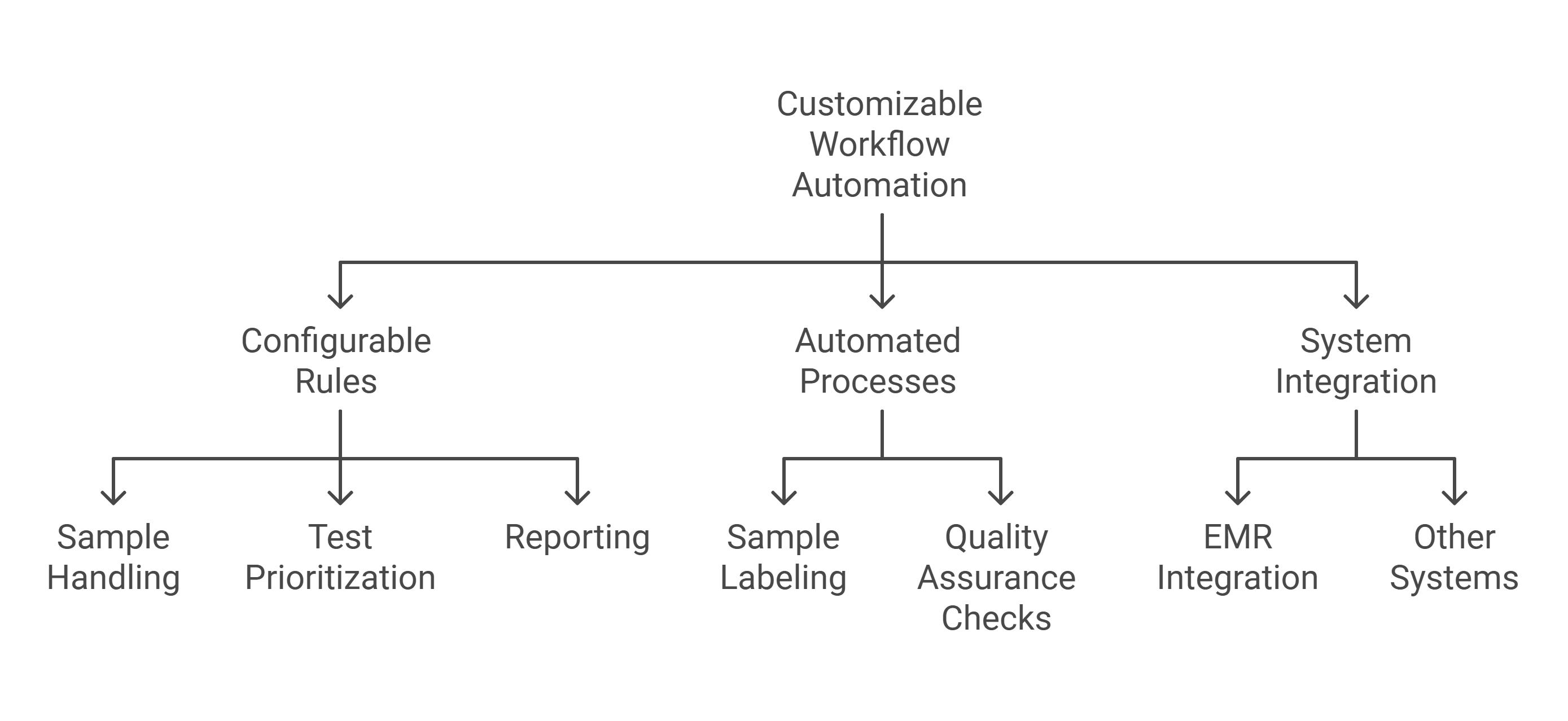 Customizable LIS Workflow Automation System