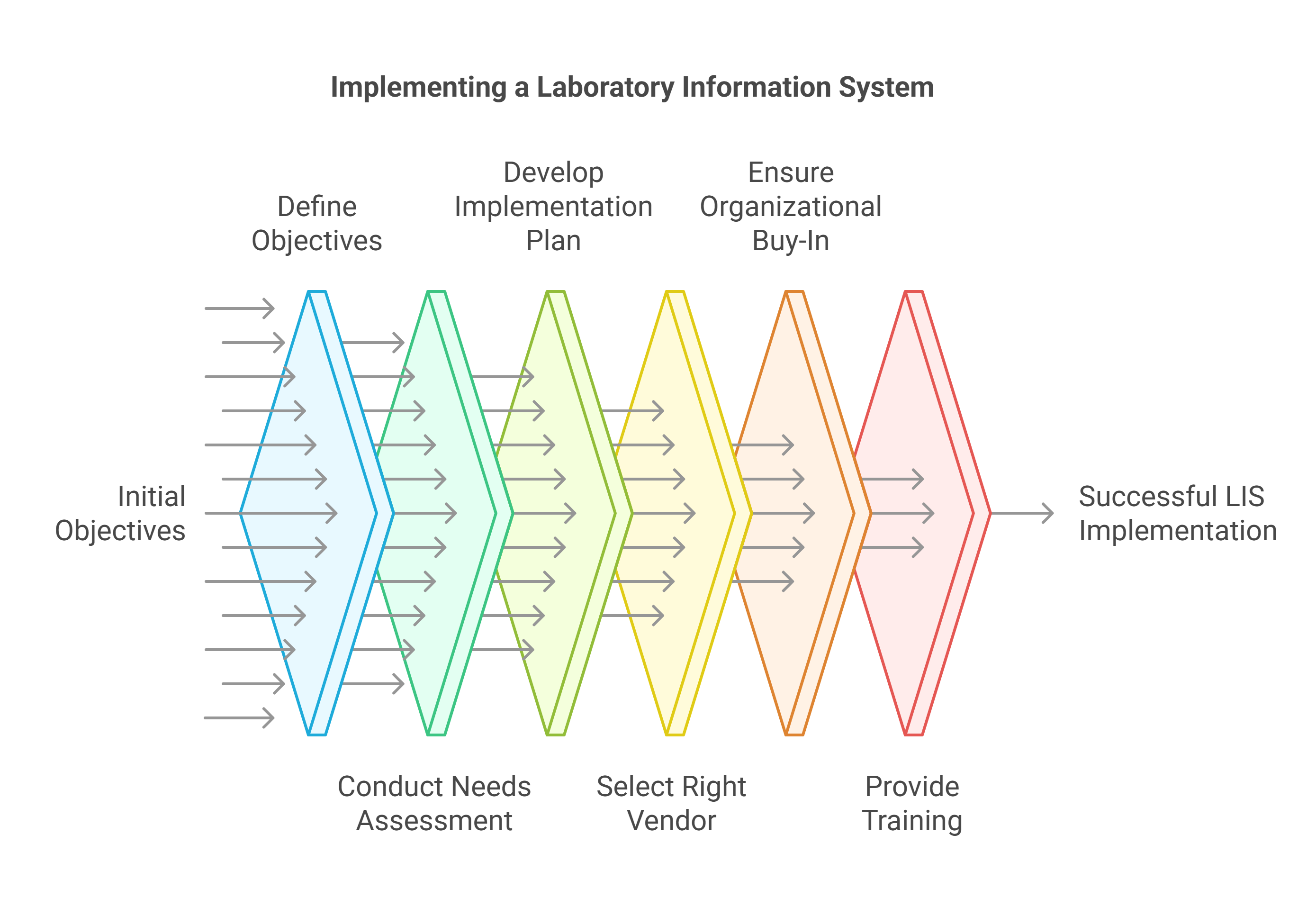 Implementing an LIS System in Lab: Best Practices and Pitfalls